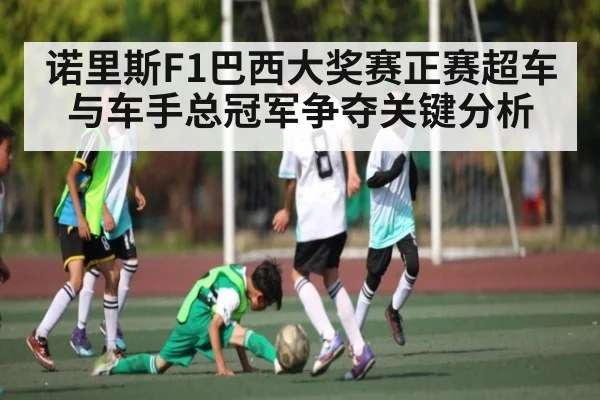 诺里斯F1巴西大奖赛正赛超车与车手总冠军争夺关键分析